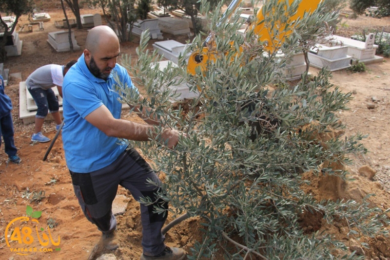 tasoooi3i1412 (15).JPG